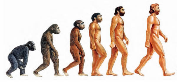 origen del lenguaje